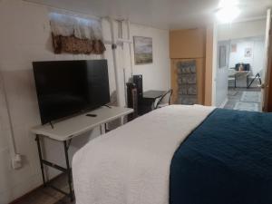 a bedroom with a bed and a flat screen tv at Huge Historic Home in Detroit