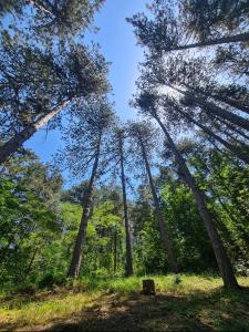 Fotografie z fotogalerie ubytování Green door v destinaci Vrnjačka Banja