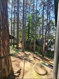 Fotografie z fotogalerie ubytování Green door v destinaci Vrnjačka Banja