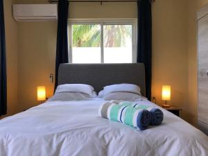 a white bed with two pillows and a window at Aruba IXORA Suites in Noord