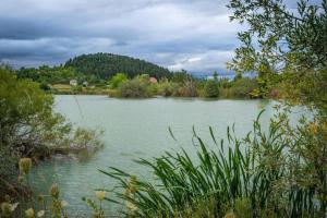 vista su un fiume alberato e su una montagna di Kuća za odmor Toma a Prvan Selo