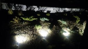 Fotografia z galérie ubytovania ul.Powstania Wielkopolskiego 18 v destinácii Gdynia