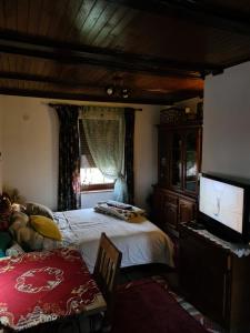 a bedroom with a bed and a flat screen tv at Vikendica sa djakuzijem Borik in Grabova Kosa