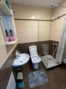 a bathroom with a toilet and a sink and a shower at Apartment Dastidi in Mitrovicë