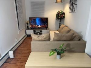 a living room with a couch and a tv at 3 bed unit Retreat near Ann Arbor King Bed in Ypsilanti