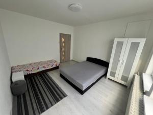 布拉迪斯拉发Apartmán Zuzana的一间带床和镜子的小卧室