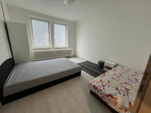 布拉迪斯拉发Apartmán Zuzana的一间带床和窗户的小卧室