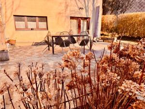 Fotografie z fotogalerie ubytování Oboho - Le gîte bohème (Pieds dans l’eau - Lit King Size - Jardin) v destinaci Esneux