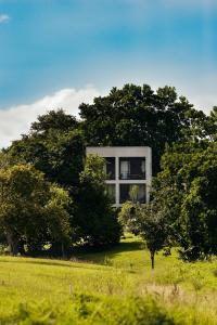 圣卡塔利娜岛Casa Bodhi的田野中树中间的房子