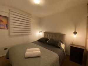 Gallery image of Departamento Jardin del sur in Curicó