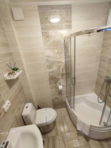 a bathroom with a toilet and a shower at Карпатська Вершина in Yaremche +54 photos