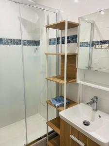 a bathroom with a shower and a sink at Studio Méditerranéen in Corneilla-del-Vercol +6 photos