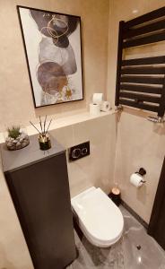 a bathroom with a toilet and a picture on the wall at Residence in Belgrade +42 photos