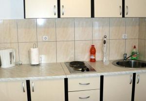 Kuchyň nebo kuchyňský kout v ubytování Apartments Niko