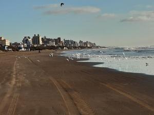 Naturlandskabet i nærheden af lejligheden