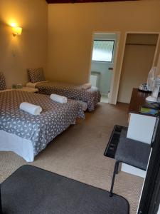 Afbeelding uit fotogalerij van Pinelodge in Opua