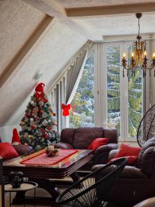 Posezení v ubytování Home Belić Golija