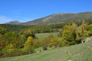 Príroda v okolí hostela