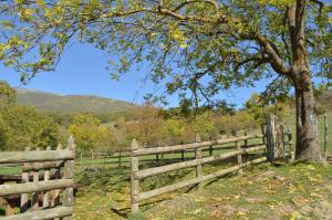 Príroda v okolí hostela