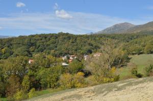 Príroda v okolí hostela