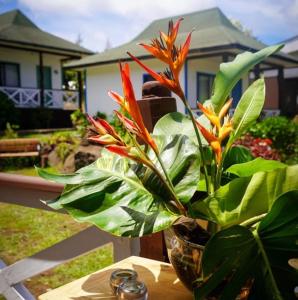 Jardín al aire libre en Kuhane Etno-Hostal