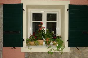 una finestra con piante in vaso su un davanzale di Riza Stone Cottage, romantic house, pet friendly a Vátos