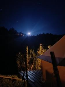 Příroda nedaleko luxury tent
