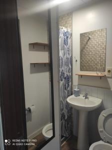 a bathroom with a sink and a toilet and a mirror at Draco in Bella Vista