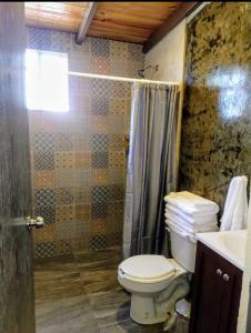 un baño con inodoro y ducha en Villas ARVEM 1, en La Sabana 18 fotos más