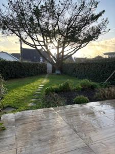a tree in the middle of a yard at Maison les dunes proche plage in Quiberon