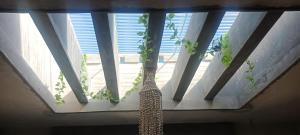 ein Fenster mit einer Pflanze, die darin wächst in der Unterkunft Departamento y Alberca privada in Yelateni