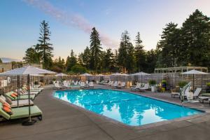 a swimming pool with chairs and umbrellas at Hotel Paradox, Autograph Collection in Santa Cruz