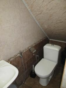 a small bathroom with a toilet and a sink at Double gates home in Baku +14 photos