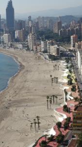 a view of a beach with palm trees and the ocean at Apartamentos Beni-Beach in Benidorm