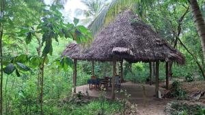 a gazebo with chairs and a straw roof at yasmin ecohouse zanzibar in Kizimkazi