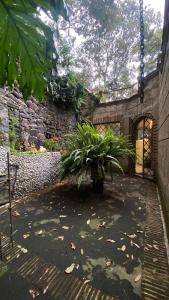 Billede fra billedgalleriet på beautiful house i Mexico City