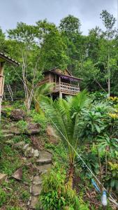Zahrada ubytování Sea Views bungalow kohrong + 37 fotografií