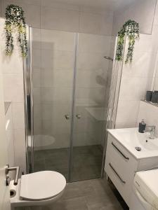 Un baño con ducha, inodoro y lavabo. en Harz mit Elan, en Bad Harzburg