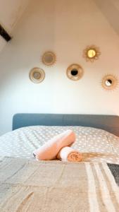 Afbeelding uit fotogalerij van Cosy Authentiek Penthouse in Antwerpen +16 foto's