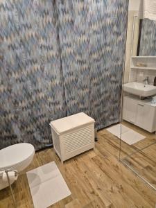 a bathroom with a toilet and a sink at Dein Zuhause am See in Millstatt