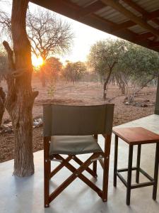 una sedia seduta accanto a un tavolo e un albero di Murchison View Cottage a Gravelotte Altre 20 foto