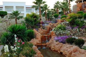 Сад в Renaissance Sharm El Sheikh Golden View Beach Resort