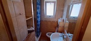 a small bathroom with a toilet and a sink at Domki Pod Kasztanem in Dąbki +10 photos