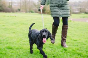 een vrouw die een zwarte hond aan de lijn laat bij Cricklade House Hotel, Sure Hotel Collection by Best Western in Cricklade