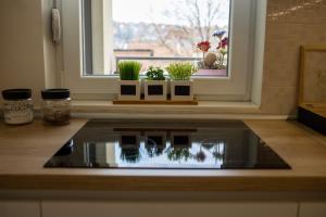 Afbeelding uit fotogalerij van Apartmani Hemera in Valjevo