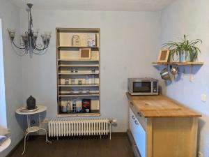 a kitchen with a counter and a microwave at Eine gute Zeit in Sigmaringen
