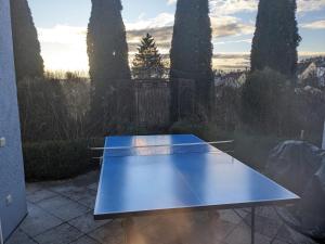 a blue ping pong table sitting on a patio at Eine gute Zeit in Sigmaringen
