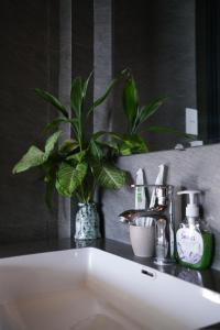 a bathroom sink with a potted plant and a mirror at TuTu's Homestay Phong Nha in Phong Nha