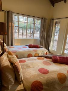 2 letti posti in una stanza con finestre di Murchison View Cottage a Gravelotte