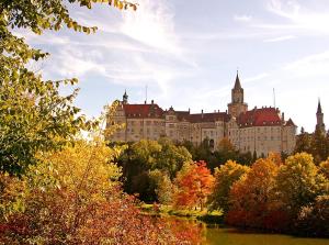 a castle on a hill with trees and a river at Eine gute Zeit in Sigmaringen